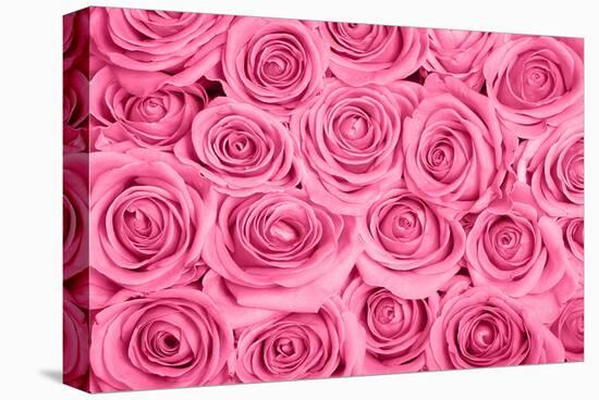Pink Rose Bouqet-null-Stretched Canvas