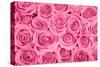 Pink Rose Bouqet-null-Stretched Canvas