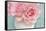 Pink Rose Bouquet-Cora Niele-Framed Stretched Canvas