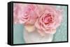 Pink Rose Bouquet-Cora Niele-Framed Stretched Canvas