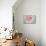 Pink Rose Bouquet-Cora Niele-Mounted Photographic Print displayed on a wall