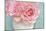Pink Rose Bouquet-Cora Niele-Mounted Photographic Print