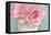 Pink Rose Bouquet-Cora Niele-Framed Stretched Canvas