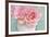 Pink Rose Bouquet-Cora Niele-Framed Photographic Print