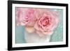 Pink Rose Bouquet-Cora Niele-Framed Photographic Print