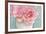 Pink Rose Bouquet-Cora Niele-Framed Photographic Print