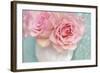 Pink Rose Bouquet-Cora Niele-Framed Photographic Print