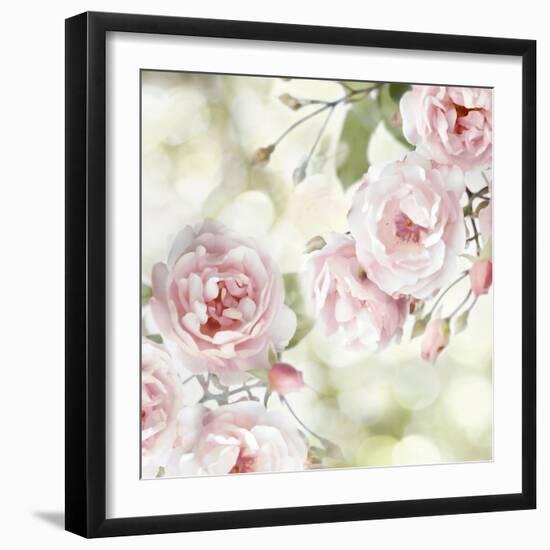 Pink Rose Garden I-Joanna Lane-Framed Art Print