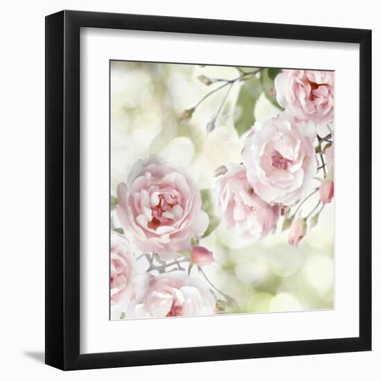 Pink Rose Garden I-Joanna Lane-Framed Art Print