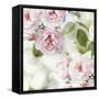 Pink Rose Garden II-Joanna Lane-Framed Stretched Canvas