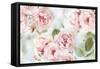 Pink Rose Garden III-Joanna Lane-Framed Stretched Canvas