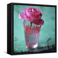 Pink Rose in a Pink Glass-Michael Paul-Framed Stretched Canvas