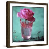 Pink Rose in a Pink Glass-Michael Paul-Framed Photographic Print