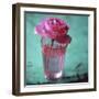 Pink Rose in a Pink Glass-Michael Paul-Framed Photographic Print