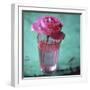 Pink Rose in a Pink Glass-Michael Paul-Framed Photographic Print