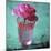 Pink Rose in a Pink Glass-Michael Paul-Mounted Photographic Print