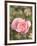 Pink rose, International Rose Test Garden, Portland, Oregon.-William Sutton-Framed Photographic Print