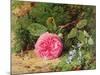 Pink Rose on a Mossy Bank, 1875-Henry Sutton Palmer-Mounted Giclee Print