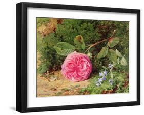 Pink Rose on a Mossy Bank, 1875-Henry Sutton Palmer-Framed Giclee Print