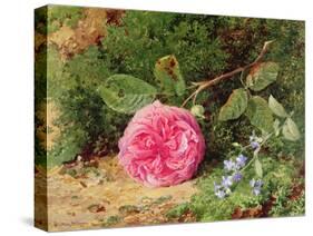 Pink Rose on a Mossy Bank, 1875-Henry Sutton Palmer-Stretched Canvas