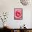 Pink rose-Herbert Kehrer-Framed Stretched Canvas displayed on a wall