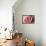 Pink Rose-Erin Berzel-Framed Stretched Canvas displayed on a wall