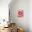 Pink rose-Herbert Kehrer-Photographic Print displayed on a wall