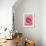 Pink rose-Herbert Kehrer-Framed Photographic Print displayed on a wall