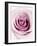 Pink Rose-Joy Atkinson-Framed Photographic Print