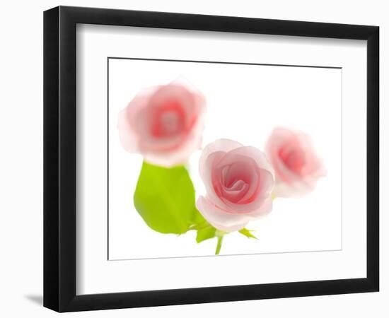 Pink rose-Kiyoshi Miyagawa-Framed Photographic Print