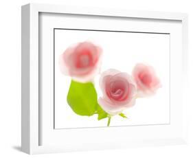 Pink rose-Kiyoshi Miyagawa-Framed Photographic Print