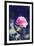 Pink Rose-Carolina Hernández-Framed Photographic Print