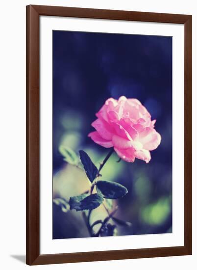 Pink Rose-Carolina Hernández-Framed Photographic Print