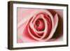 Pink Rose-Erin Berzel-Framed Photographic Print