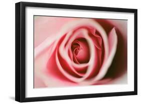 Pink Rose-Erin Berzel-Framed Photographic Print