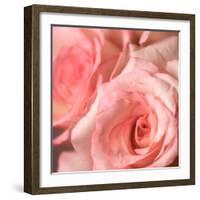 Pink Rose-null-Framed Photographic Print