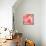 Pink Rose-null-Mounted Photographic Print displayed on a wall