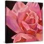 Pink Rose-Hyunah Kim-Stretched Canvas