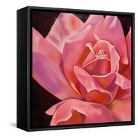 Pink Rose-Hyunah Kim-Framed Stretched Canvas