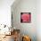 Pink Rose-Hyunah Kim-Framed Stretched Canvas displayed on a wall