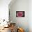 Pink Rose-Kevin Calaguiro-Art Print displayed on a wall