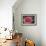 Pink Rose-Kevin Calaguiro-Framed Art Print displayed on a wall