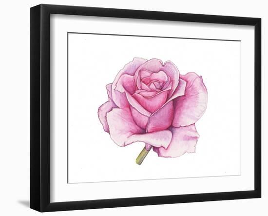 Pink Rose-Elizabeth Rider-Framed Giclee Print