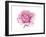 Pink Rose-Elizabeth Rider-Framed Giclee Print