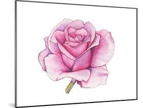 Pink Rose-Elizabeth Rider-Mounted Giclee Print