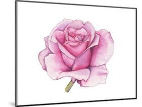 Pink Rose-Elizabeth Rider-Mounted Giclee Print