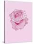 Pink Rose-Drawpaint Illustration-Stretched Canvas