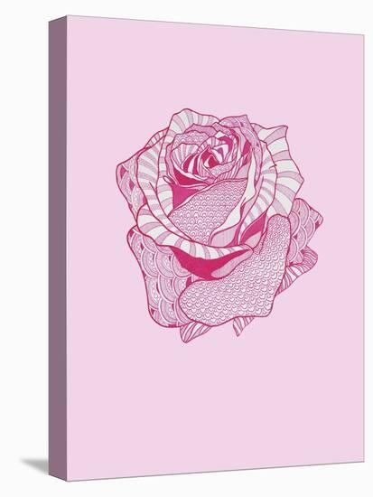 Pink Rose-Drawpaint Illustration-Stretched Canvas