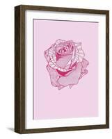 Pink Rose-Drawpaint Illustration-Framed Giclee Print