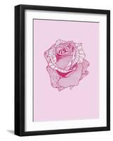 Pink Rose-Drawpaint Illustration-Framed Giclee Print